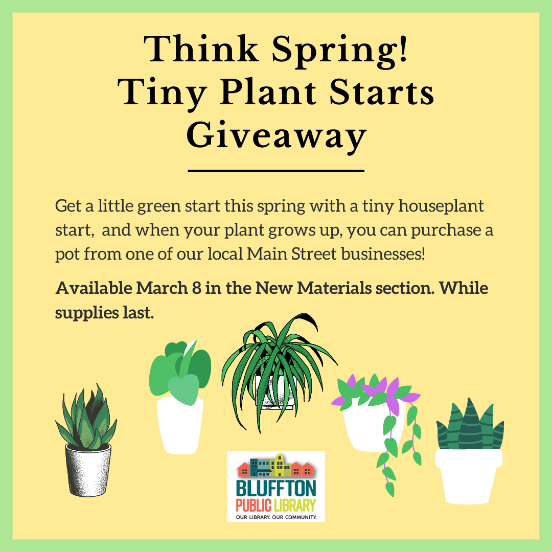 description with graphics of houseplants