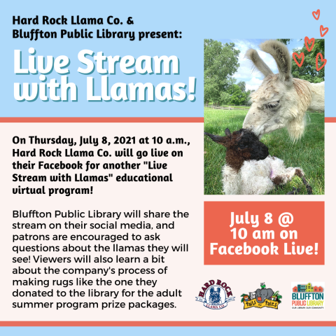 Live Stream with Llamas