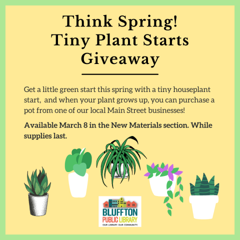 description with graphics of houseplants